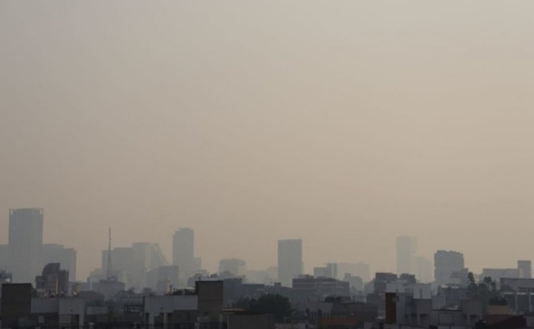 Imagen ilustrativa. Foto: AFP