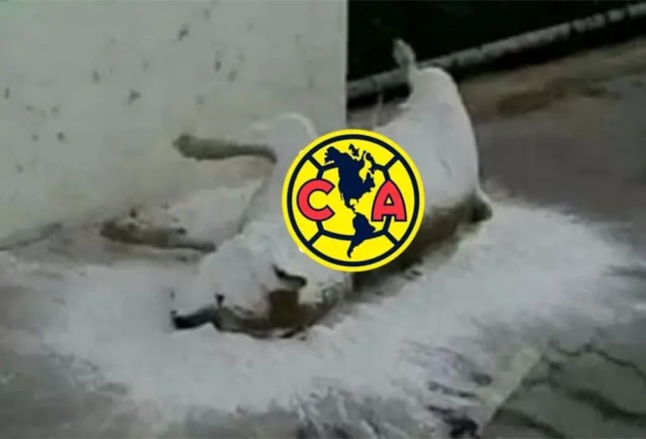 América MEMES