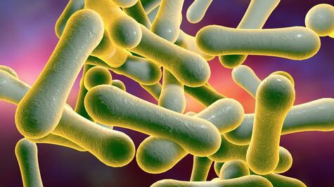 Confirman primer caso de difteria en Perú a 20 años de haberla erradicado 