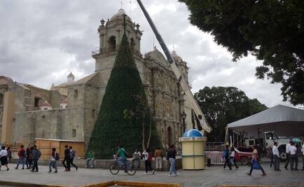 Instalan pista de hielo en centro de Oaxaca; protesta ONG