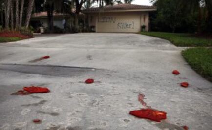 Graffitean casa del dentista que mató a león Cecil