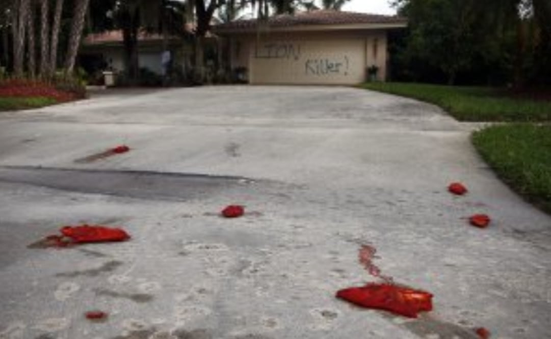 Patas de cerdo ensangrentadas fueron esparcidas en el patio (Foto: AP)