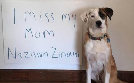 Video. Mujer y su perro se reúnen tras ser separados por veto migratorio de Trump