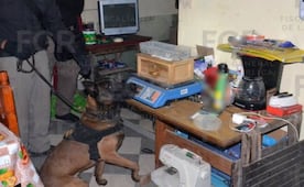 Detienen a tres en operativo antidrogas en Progreso, Yucatán; aseguran 166 bolsas con presunta droga