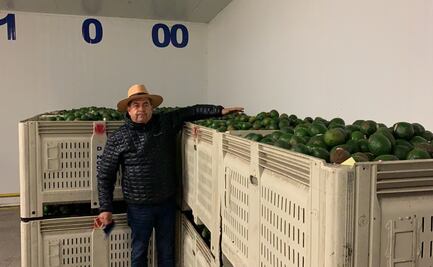 Pese a Covid-19, los productores de aguacate están listos para "surtir" el Super Bowl
