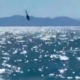 Rescatan cuerpo de marino en BC