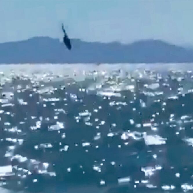 Un helicóptero de la Armada realizaba labores de vigilancia cuando cayó en el Alto Golfo de California. Foto: TOMADA DE FACEBOOK
