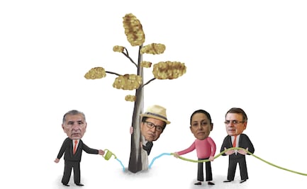 Los ahuehuetes de la 4T