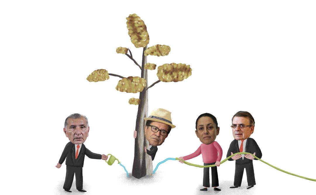 Los ahuehuetes de la 4T