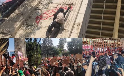 Manifestación Antitaurina llega a la Plaza de Toros México y provoca caos