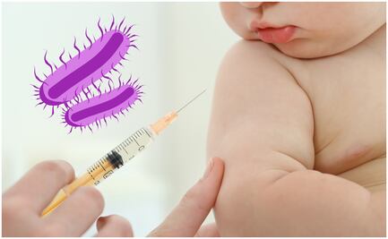 Vacuna BCG: ¿para qué sirve y cuándo se podrá aplicar?