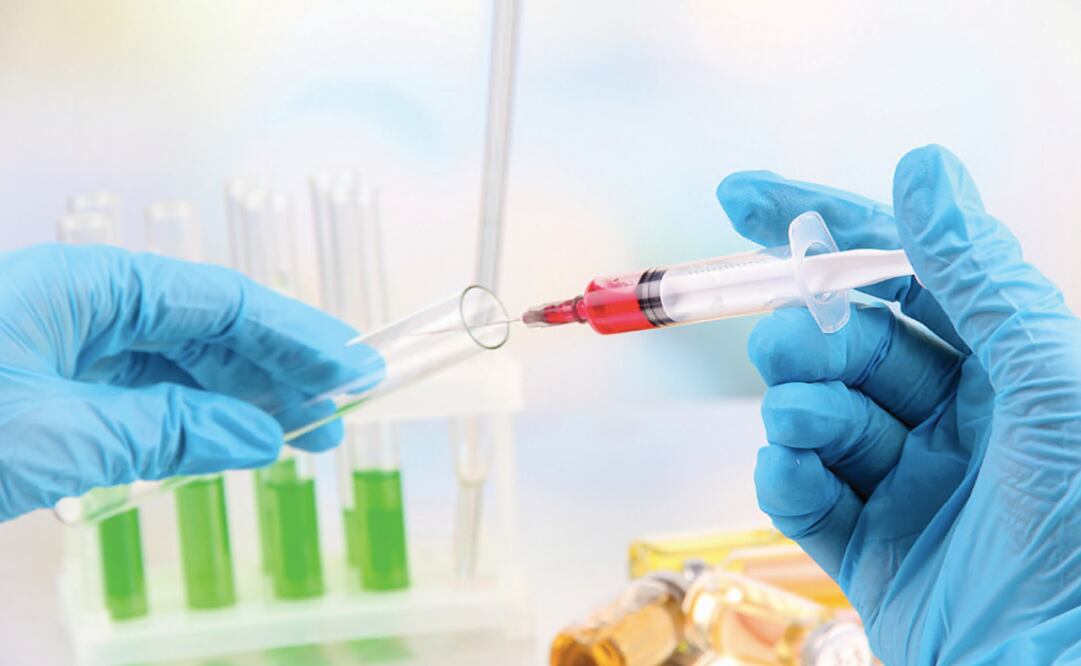 Public Administration Minister Irma Eréndira Sandoval and Profeco Director Ricardo Sheffield have tested positive for COVID-19 - Photo: File Photo/EL UNIVERSAL