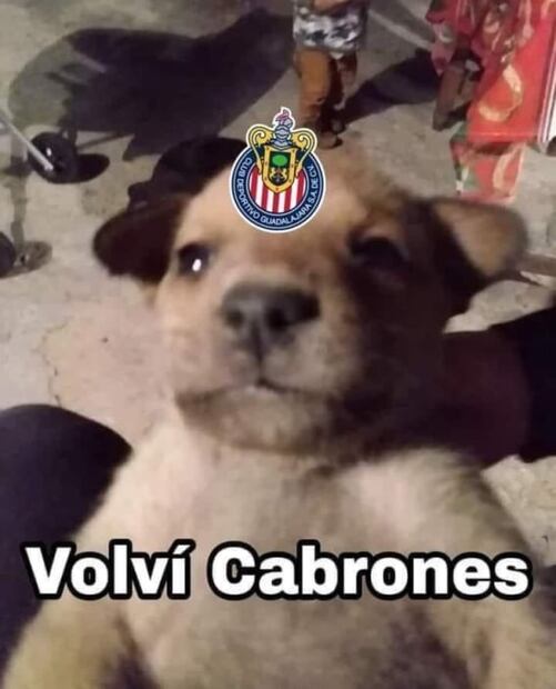 Chivas volvió a ganar y los memes confirman la ilusión de su afición