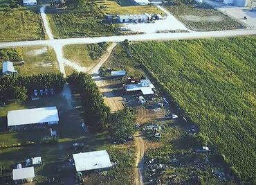 Va Profepa contra menonitas por deforestación