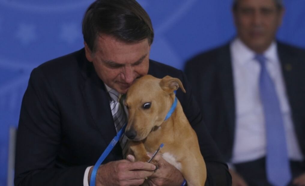 En ceremonia "perruna", Bolsonaro promulga ley contra maltrato animal