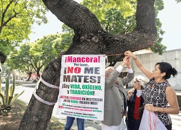 Más amparos y marchas contra la Línea 7 del Metrobús