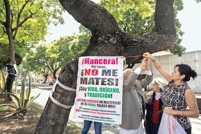 Más amparos y marchas contra la Línea 7 del Metrobús