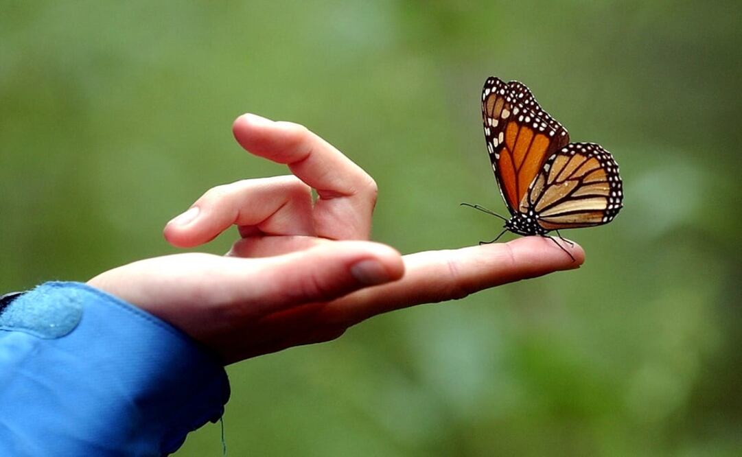 He was last seen on Jan 13 – Photo: Víctor Hugo Ortiz/EL UNIVERSAL