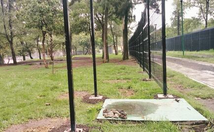 La UNAM se refuerza ante "El Ojos"