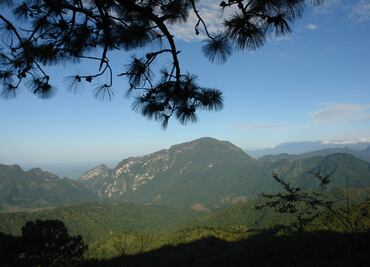 Denuncian comuneros oaxaqueños violación a sus derechos humanos