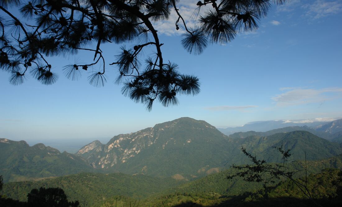 Foto: Roselia Chaca / EL UNIVERSAL