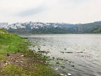 Presa Madín, en riesgo por contaminación, advierten
