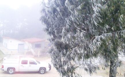 Masa de aire polar mantendrá clima muy frío en el país