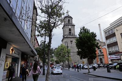 Analizan estado de árboles en el Centro Histórico