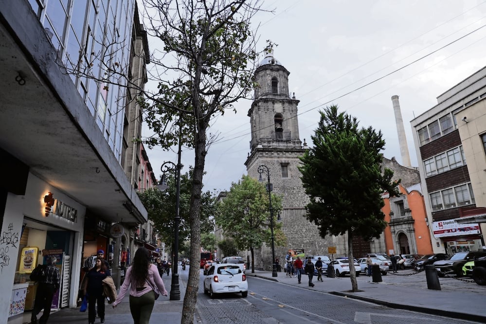 A través del programa Reverdeciendo el Centro Histórico, ya se han censado más de 90% de los árboles, dijo el coordinador Carlos Cervantes. Foto: Fernanda Rojas / EL UNIVERSAL