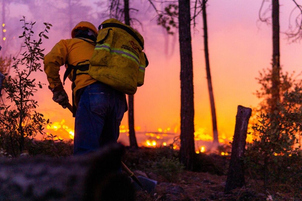 Ya suman 23 incendios forestales activos en 8 municipios de Chihuahua. (Foto: especial)
