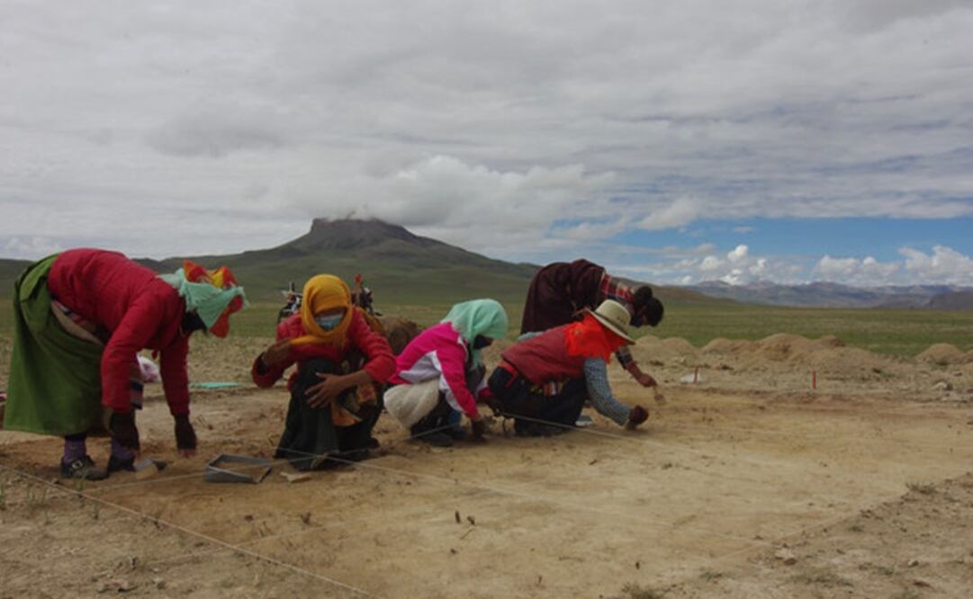 Trabajos de excavación en Newa Devu. Foto: SInc / Yingshuai Jin
