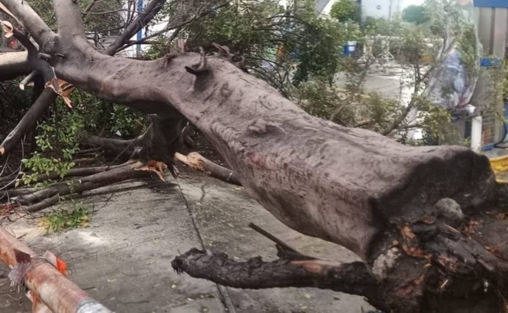 Lluvias provocan afectaciones en la Ciudad de México.
Foto: Especial.