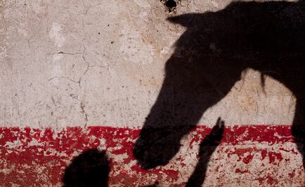 Ataques a caballos ponen en jaque a Francia; a 30 los cortaron o les sacaron los ojos