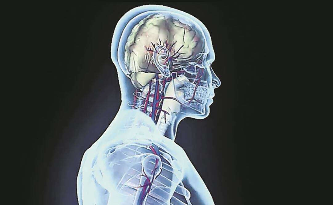 Fármaco antitumoral gana Premio CANIFARMA 