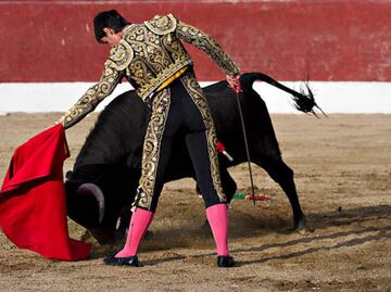 Titular de Agencia Animal capitalina celebra propuesta de corridas de toros sin violencia en CDMX