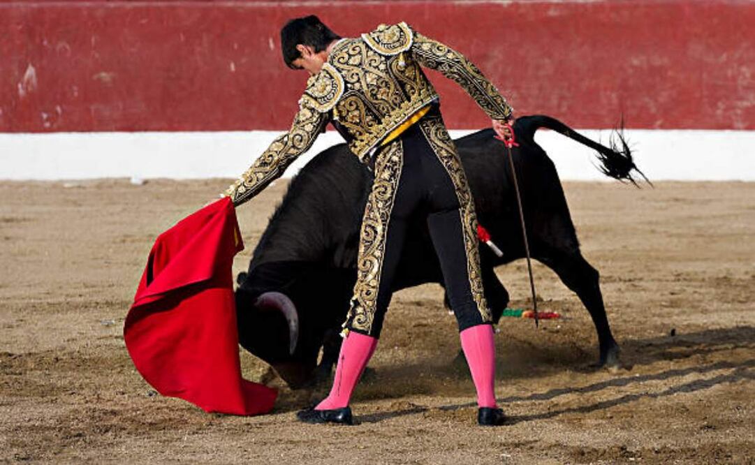 Comisión de Puntos Constitucionales e Iniciativas Ciudadanas aprueban dictamen de corrida de toros sin violencia en CDMX. Foto: iStock