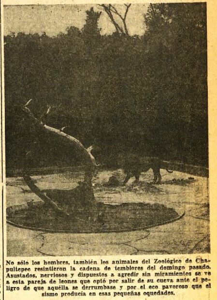 La caída del Ángel de la Independencia y otras historias del terremoto de 1957