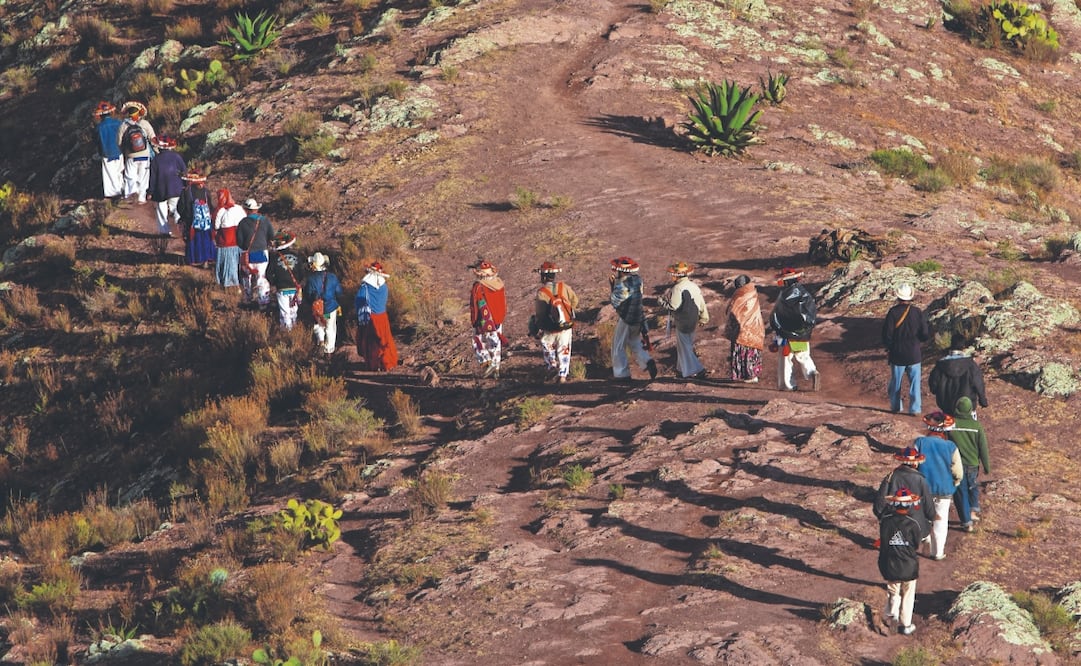 NIERIKA WIRIKUTA. La piel de Wirikuta abre el marco de la inscripción de la Ruta Wixárika a la lista de Patrimonio Mundial de la UNESCO, y como festejo de Christian Palma por cumplir 25 años dedicado a la fotografía. FOTOS: CHRISTIAN PALMA