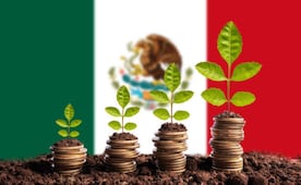 Festejan Mundial el peso mexicano y bolsa de valores