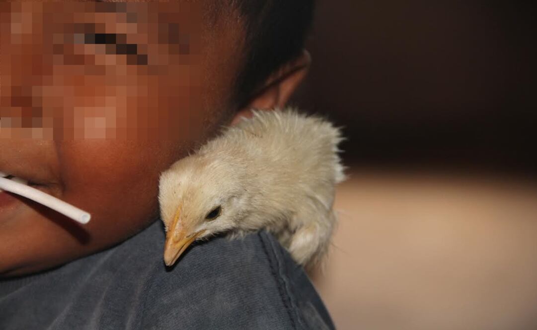 Los dos niños que Carmen cuida desde hace año y medio llegaron a su casa de noche. Su mamá acababa de morir y su papá no pudo o no quiso cuidarlos. Los entregó al cuidado de una  desconocida a quien le dijo que pensó en venderlos y le prometió que volvería por ellos. 