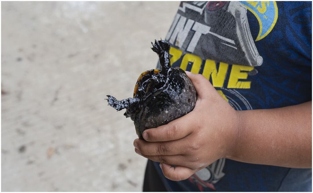 Al menos 19 organizaciones ambientalistas denuncian a Pemex en Veracruz por falta de limpieza en derrame de hidrocarburo en un arroyo (3/10/2024). Foto: Especial