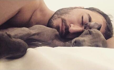 Jesús Navarro, vocalista de Reik, llora en pleno concierto al recordar a su perro fallecido