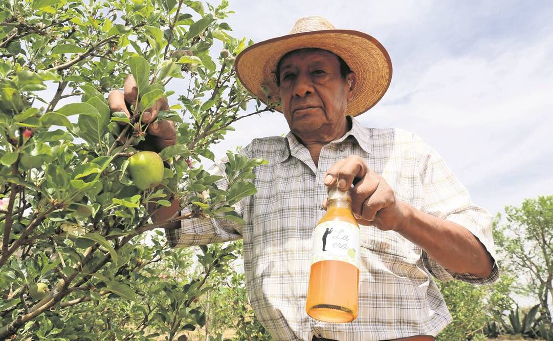 Don Goyo se dice contento de que su familia se interese en el campo y en la producción de una bebida. Foto: Diego Prado/EL UINVERSAL