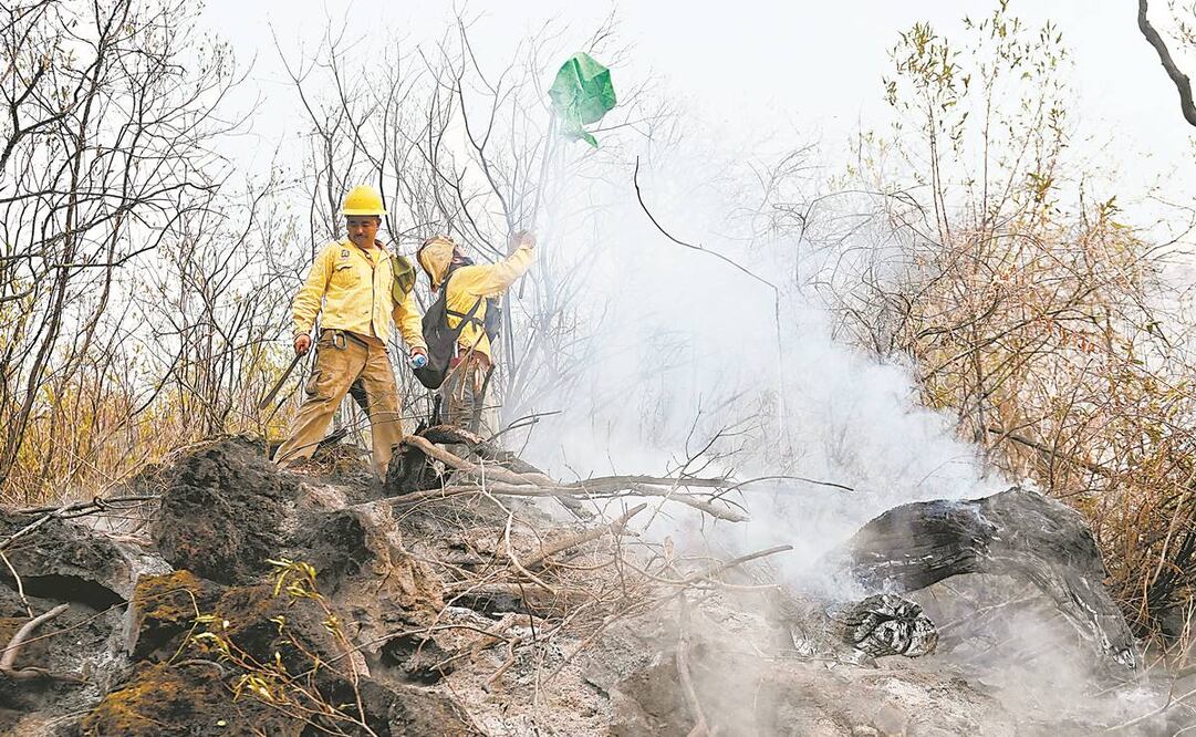Los brigadistas se adentran en el bosque con el temor de que repentinamente las llamas se aviven y los pongan en situación de peligro. Foto: Tony Rivera/ EFE.