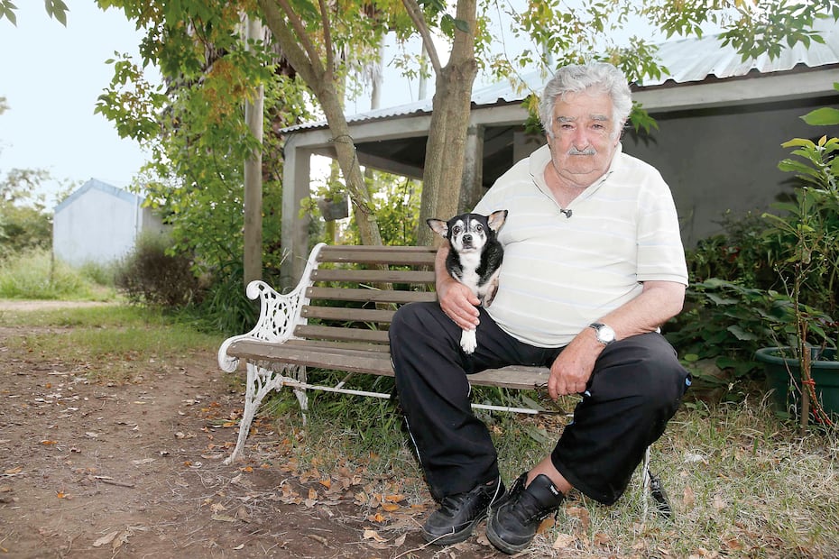 José Mujica, ex presidente de Uruguay, con su perrita Manu ela , en su granja a las afueras de Montevideo, el 25 de febrero de hace un año (ARCHIVO REUTERS)