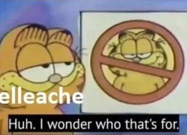 AMLOFest, liberación de YosStop y las lágrimas de Galilea Montijo, en los memes de la semana