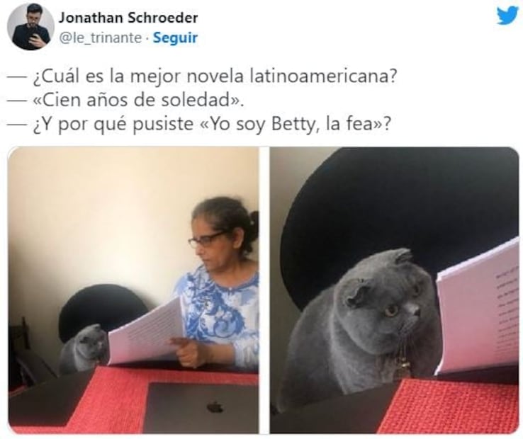 Vamos a celebrar el día del gato con los mejores 5 memes