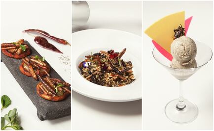 Arroz con bichos y otras recetas con insectos