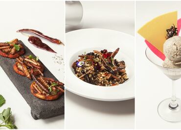 Arroz con bichos y otras recetas con insectos