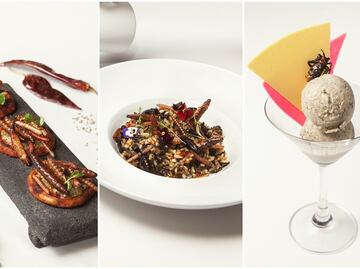 Arroz con bichos y otras recetas con insectos